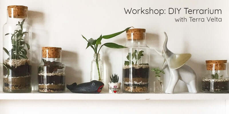 🌱Swing Into Spring: Party + Workshop + Showcase🌻