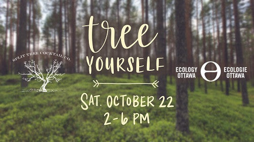 October: Planting Our Roots!