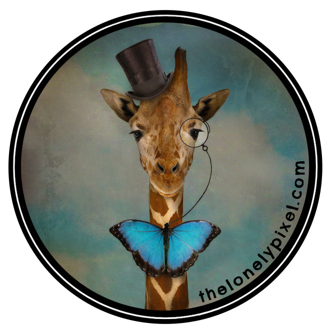 Meet the Maker > The Lonely Pixel