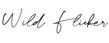 Meet the Maker > Wild Flicker