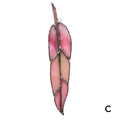 Stained Glass Feather - Multi Colour