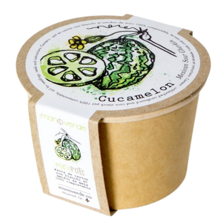 4" Plant Starter Kit - Cucamelon