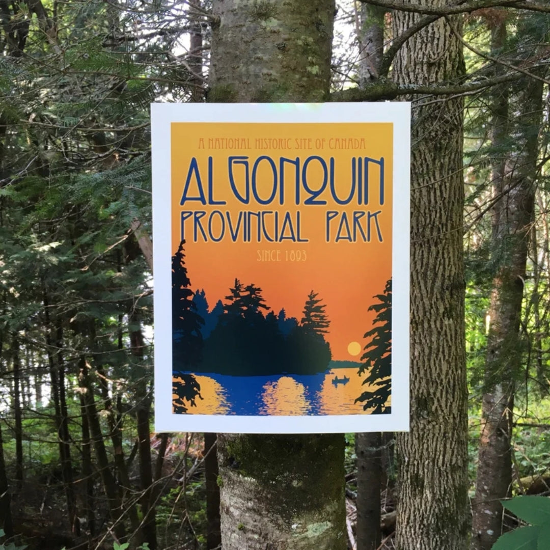 Algonquin Park Summer Print (11" x 14")