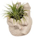 Anatomical Heart Concrete Planter