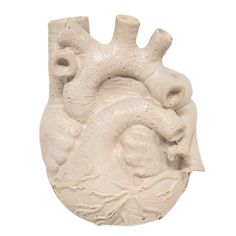 Anatomical Heart Concrete Planter