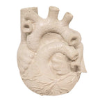 Anatomical Heart Concrete Planter