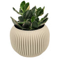 Bay 4" Plant Pot - Salt