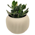Bay 4" Plant Pot - Salt