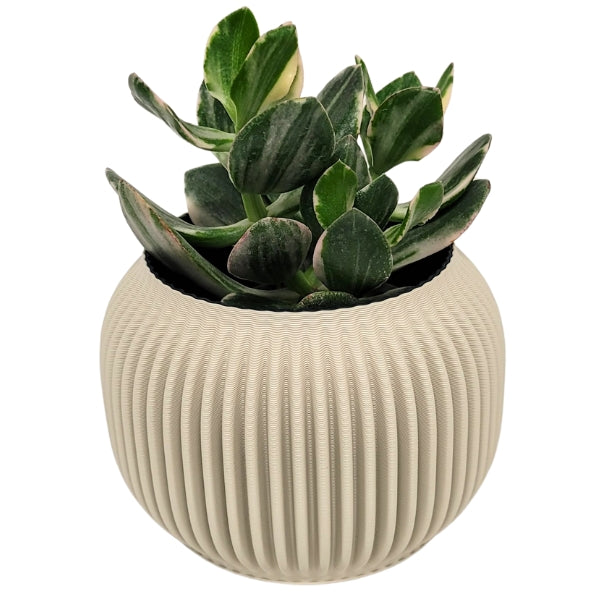 Bay 4" Plant Pot - Salt
