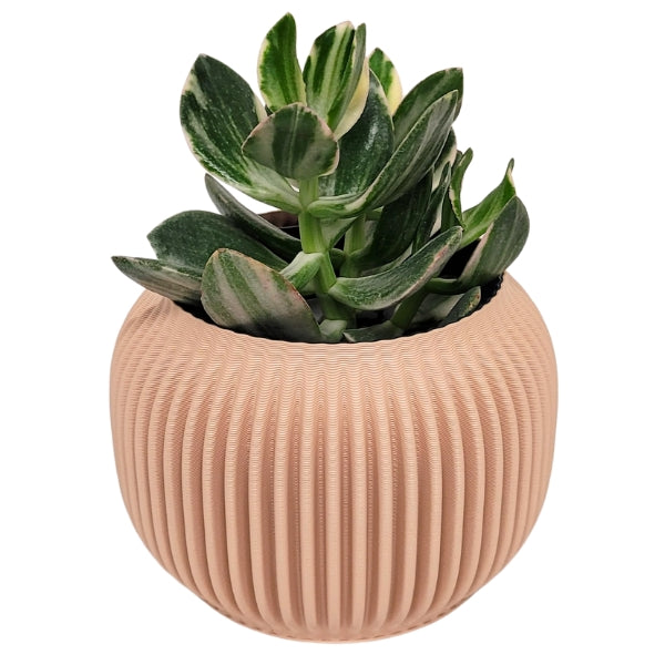 Bay 4" Plant Pot - Sand