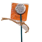 Tuteur vintage en forme de cuillère : la meilleure plante de soutien émotionnel