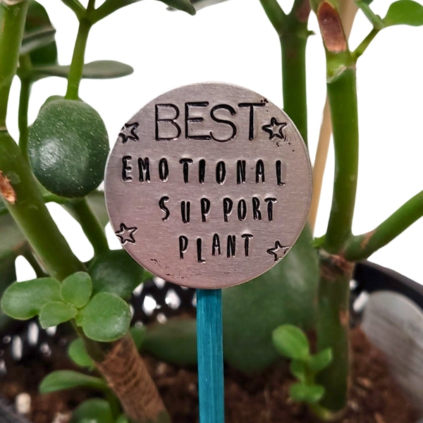 Vintage Spoon Plant Stake - Best Emotional Support Plant