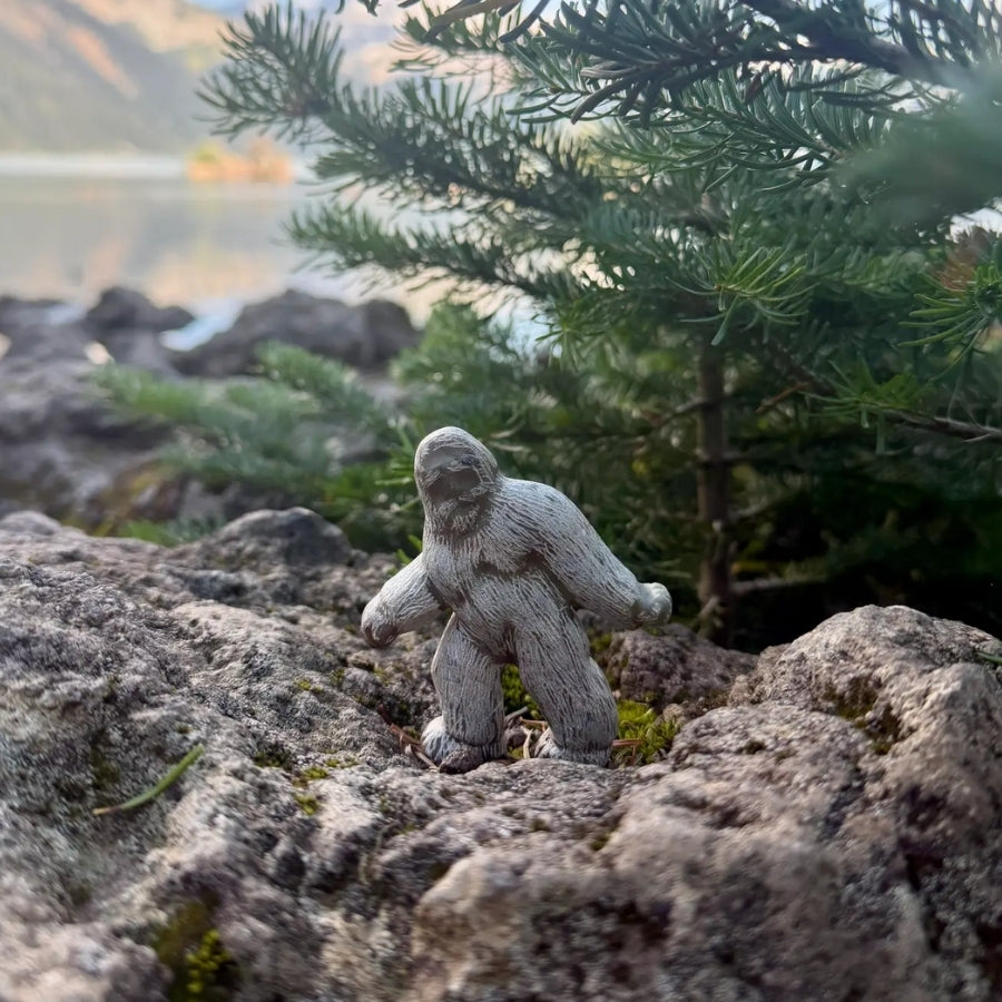 Soapstone Carving DIY Kit - Bigfoot