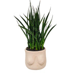 Jardinière en béton Boob