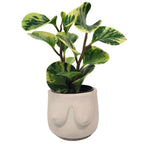 Boob Concrete Planter