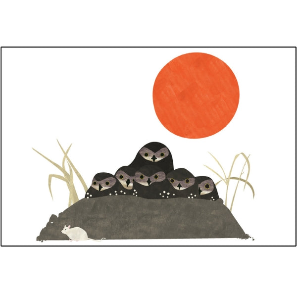 Carte postale Chevêches des terriers