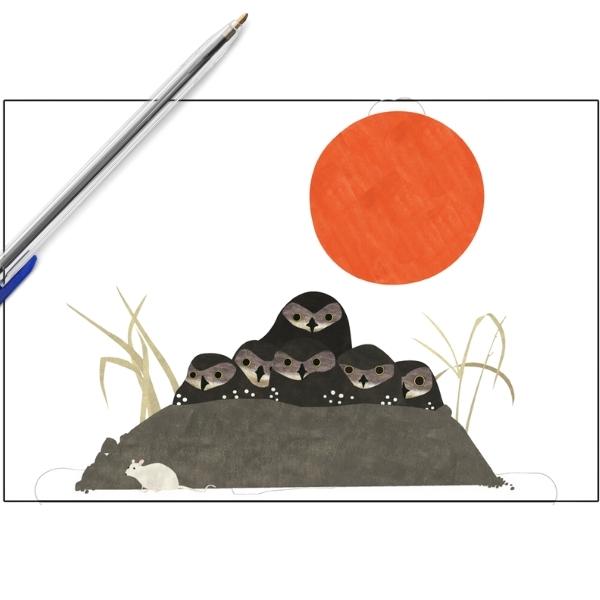 Carte postale Chevêches des terriers