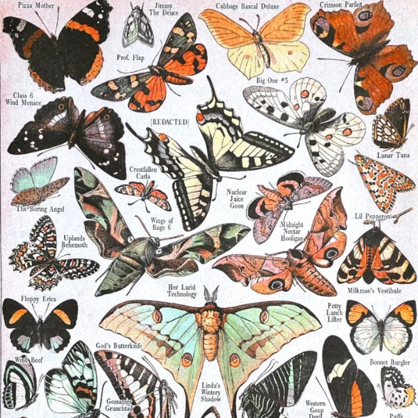 Impression risographique papillon (11" x 17")