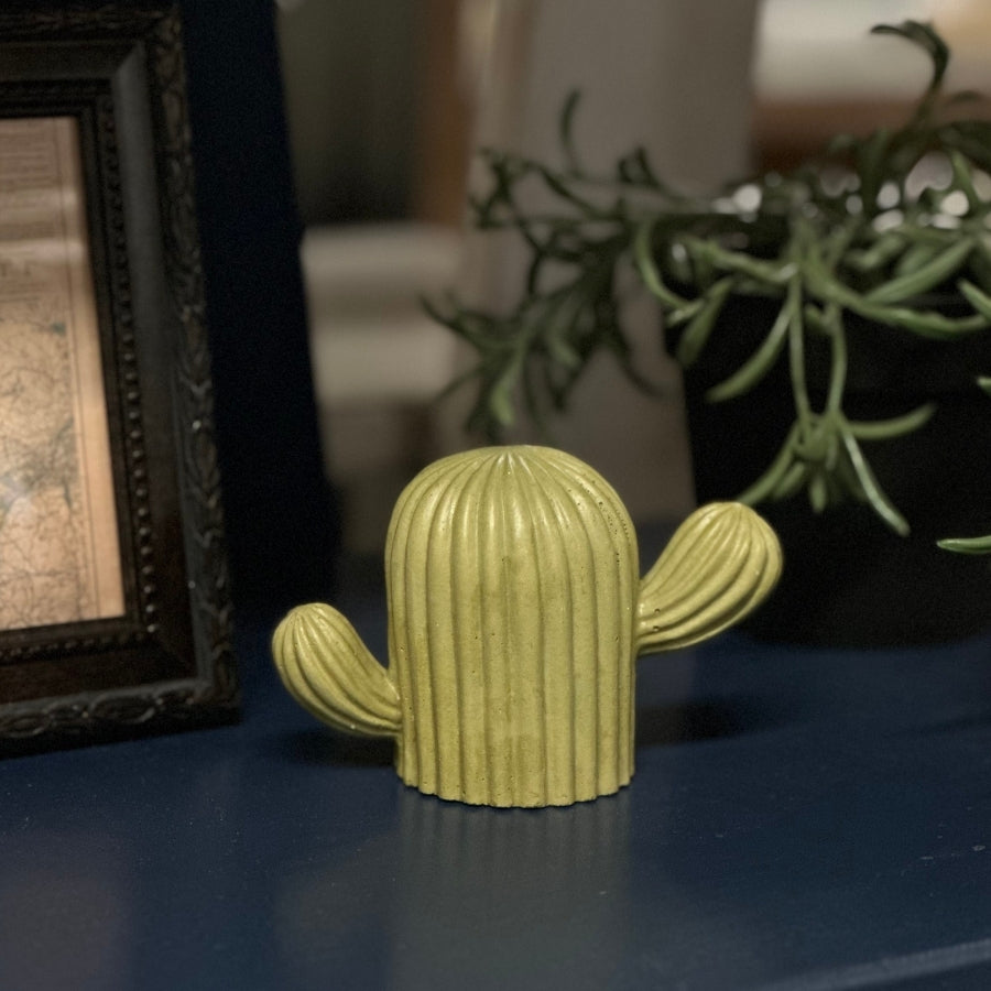 Cactus Concrete Decor