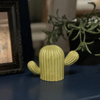 Cactus Concrete Decor