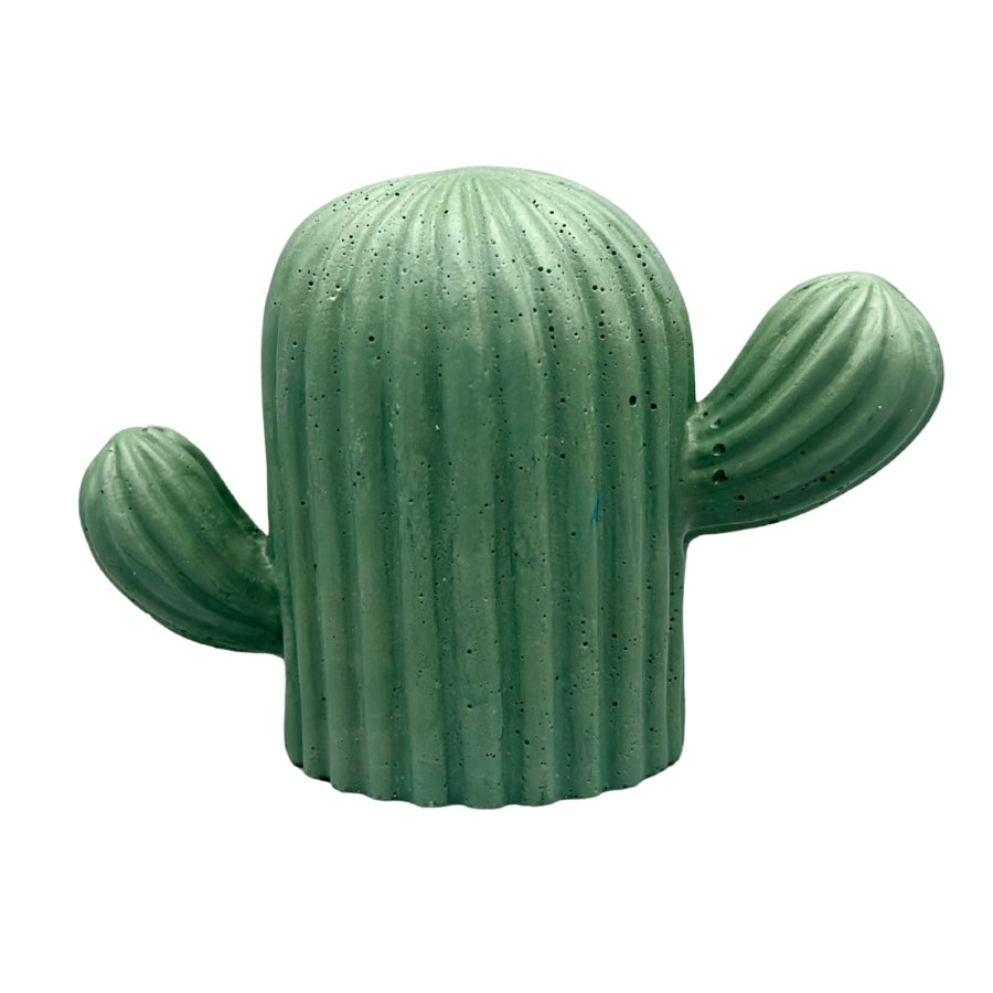 Cactus Concrete Decor
