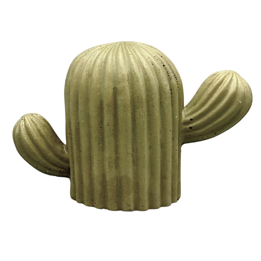 Cactus Concrete Decor