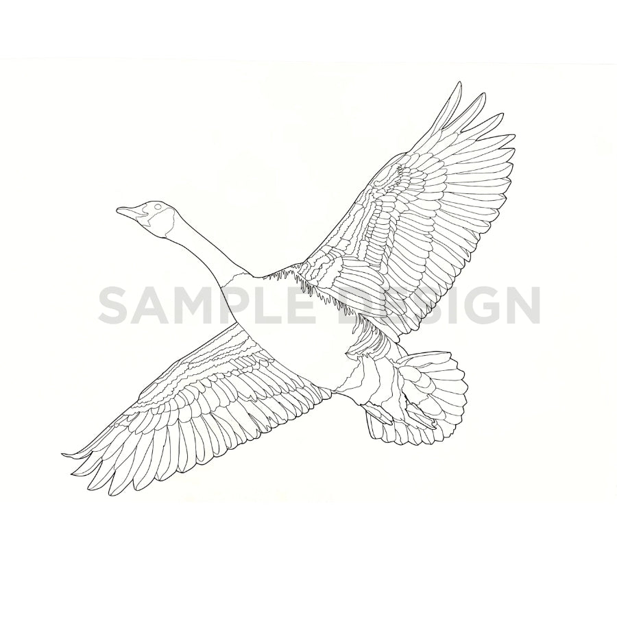 Canada to Colour Colouring Book