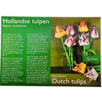 Festival canadien des tulipes - Kit de bricolage pour tulipes hollandaises