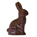 Chocolate Easter Bunny
