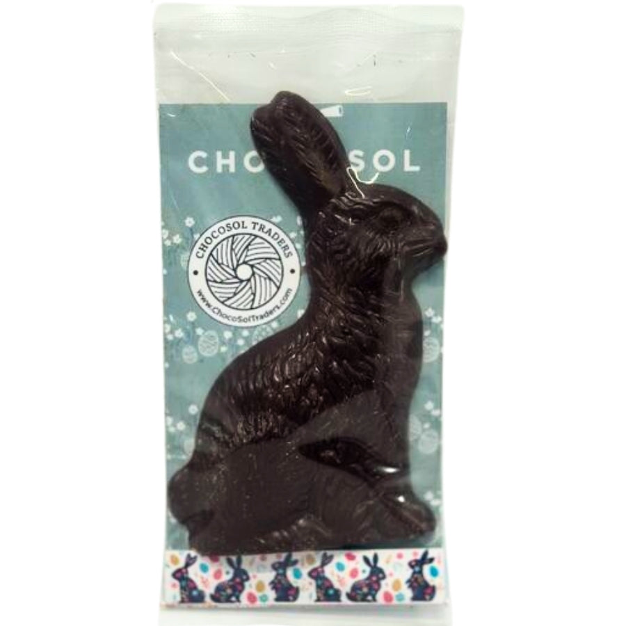 Chocolate Easter Bunny
