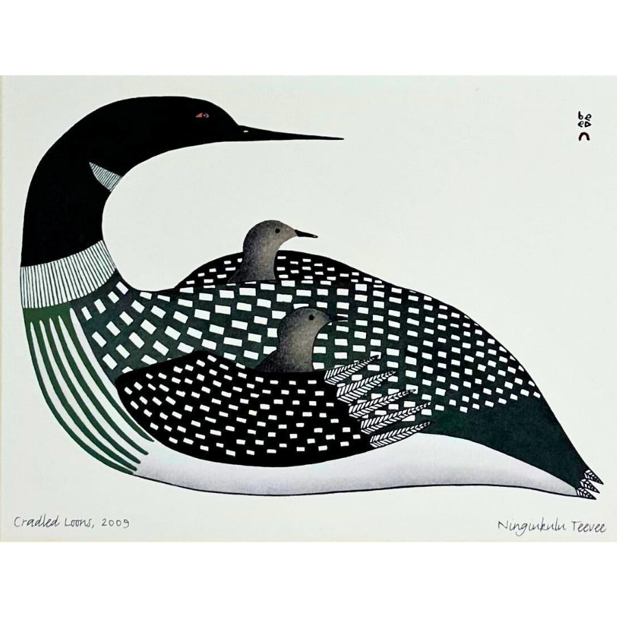 Cradled Loons Print (6" x 9"/11"x14")
