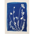 Cyanotype Art Print - Meadow (5" x 7")