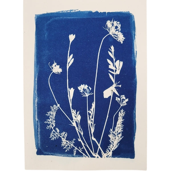 Cyanotype Art Print - Meadow (5" x 7")