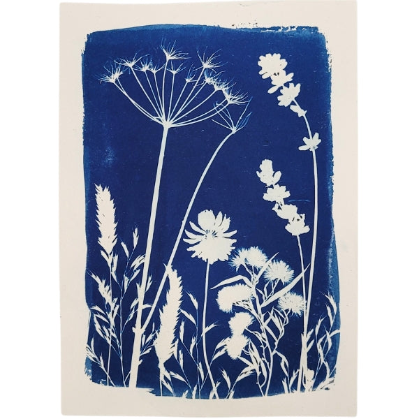 Cyanotype Art Print - Meadow (5" x 7")
