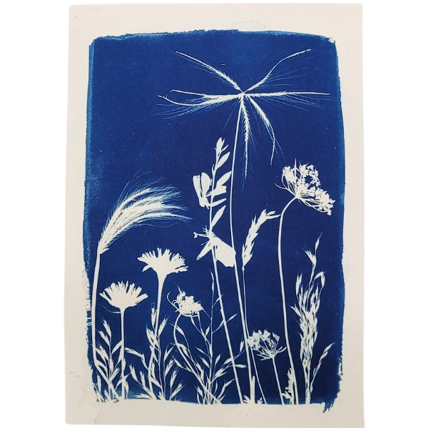 Cyanotype Art Print - Meadow (5" x 7")
