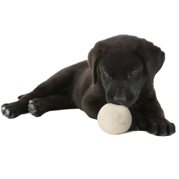 Jouet pour chien en boules de laine