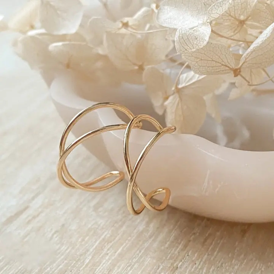 Double Helix Hoops