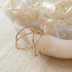Double Helix Hoops