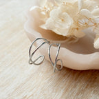Double Helix Hoops