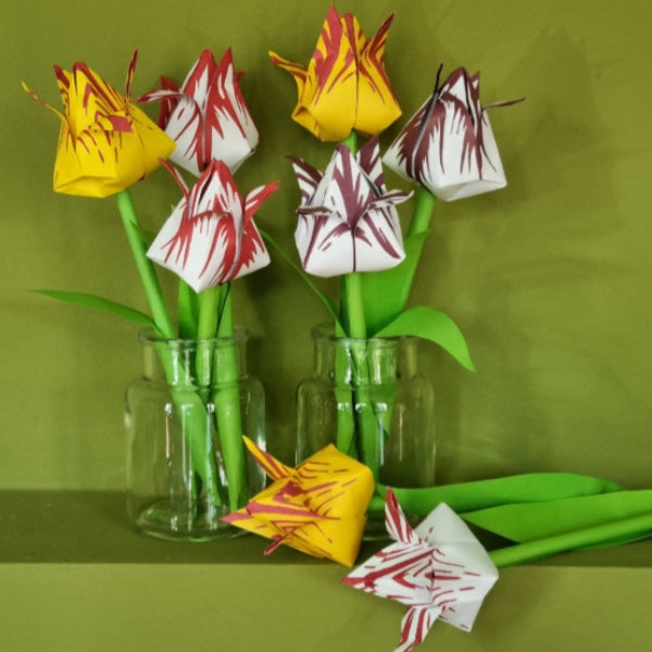 Canadian Tulip Festival - Dutch Tulip DIY Kit