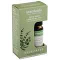 Huile essentielle - Eucalyptus