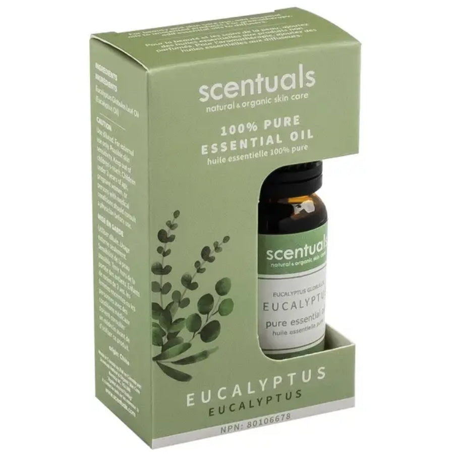 Essential Oil - Eucalyptus