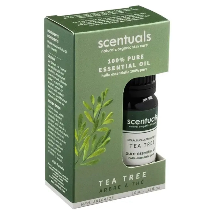 Essential Oil - Tea Tree