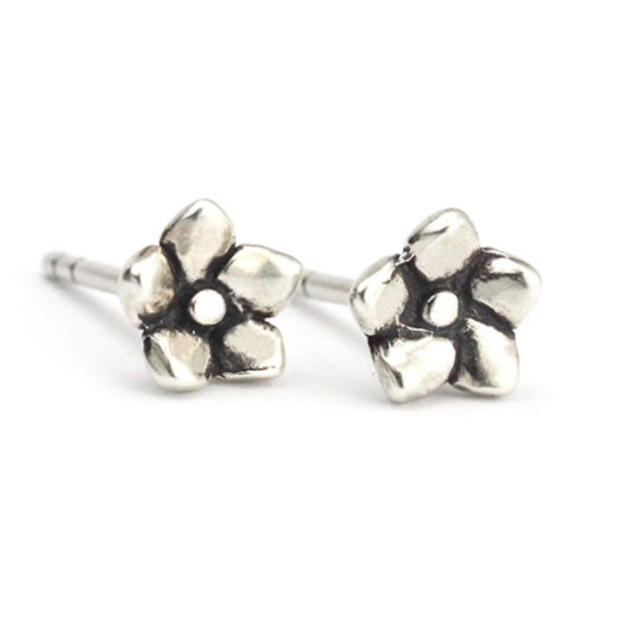 Clous d'oreilles Myosotis