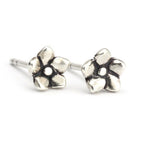 Clous d'oreilles Myosotis