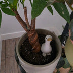 Goose Concrete Figurine