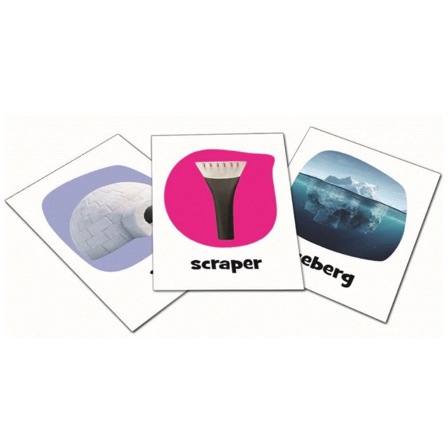 Grizzlies to Glaciers Card Game