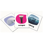 Grizzlies to Glaciers Card Game