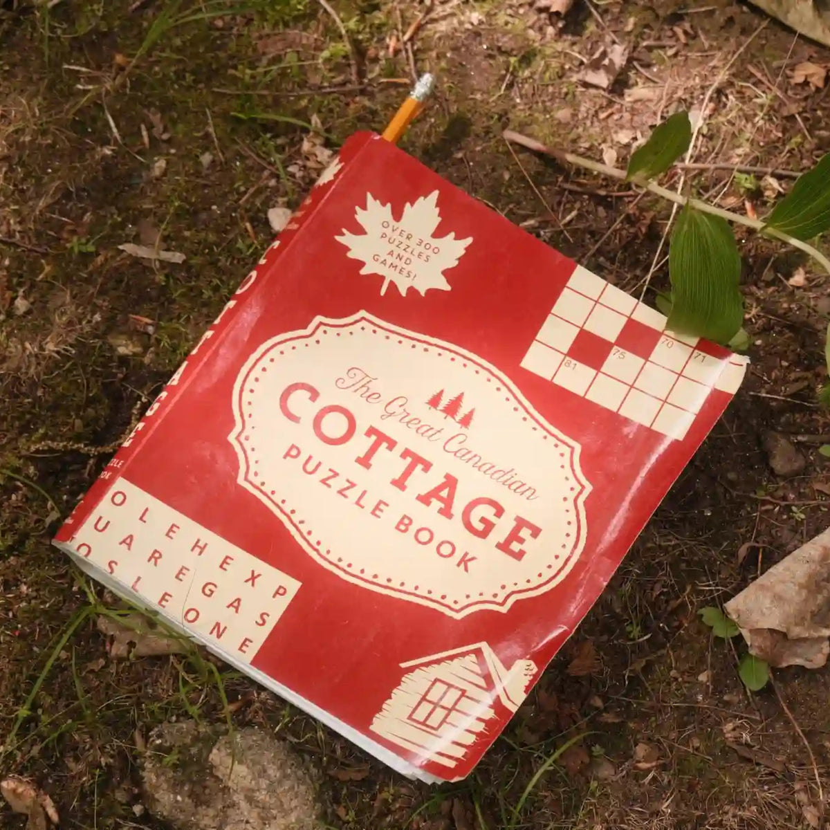 Great Canadian Cottage Puzzle Book