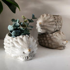 Hedgehog Concrete Planter